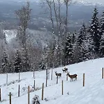 Schilcherland Suedsteiermark 샬레 *