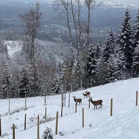Schilcherland Suedsteiermark בקתה *