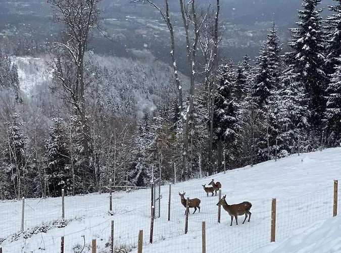 Schilcherland Suedsteiermark شاليه *